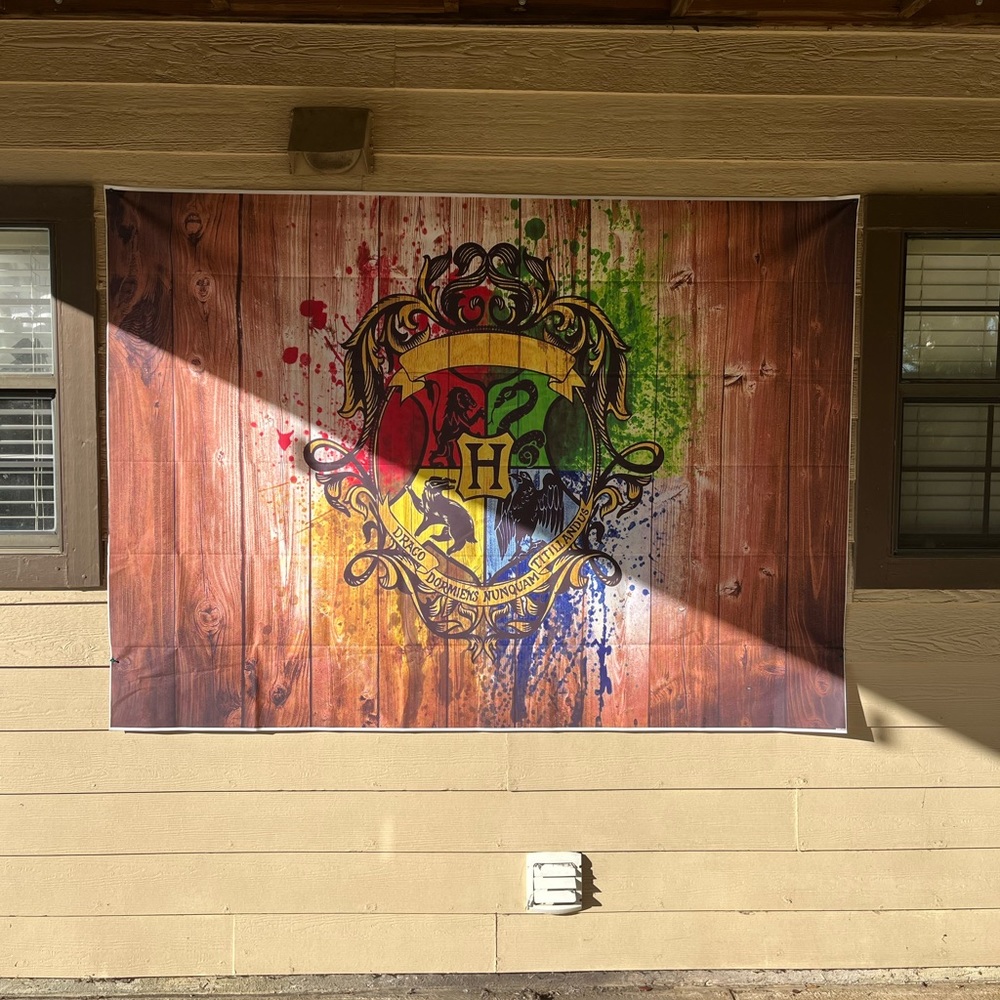6 by 4 foot Harry Potter Photo Backdrop